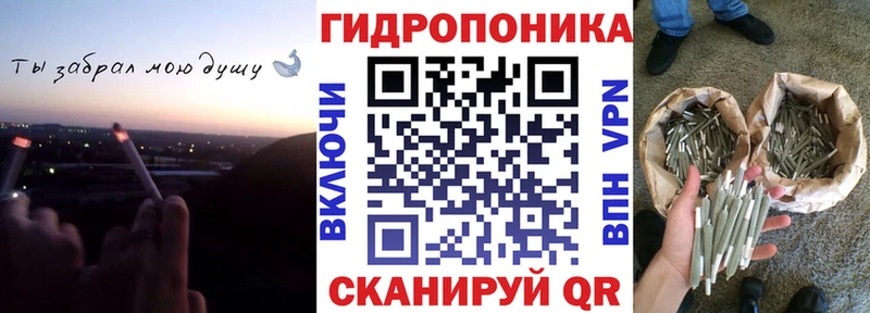 Alpha PVP Аргун