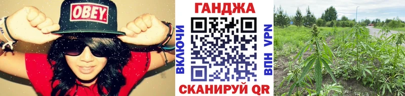 Где можно купить наркотики Аргун ГАШИШ APVP kraken зеркало Каннабис Меф