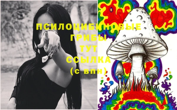 MDMA Покачи