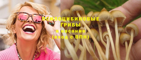 синтетический гашиш Вяземский