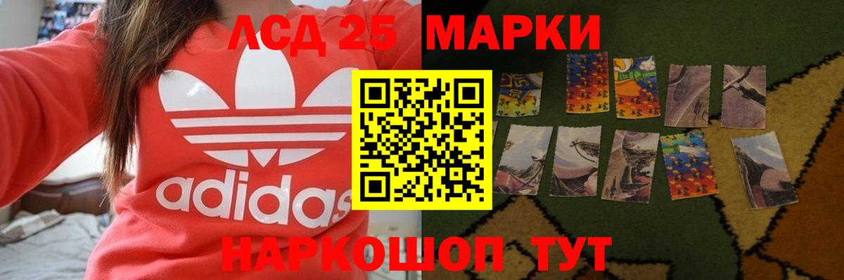 A PVP Аргун