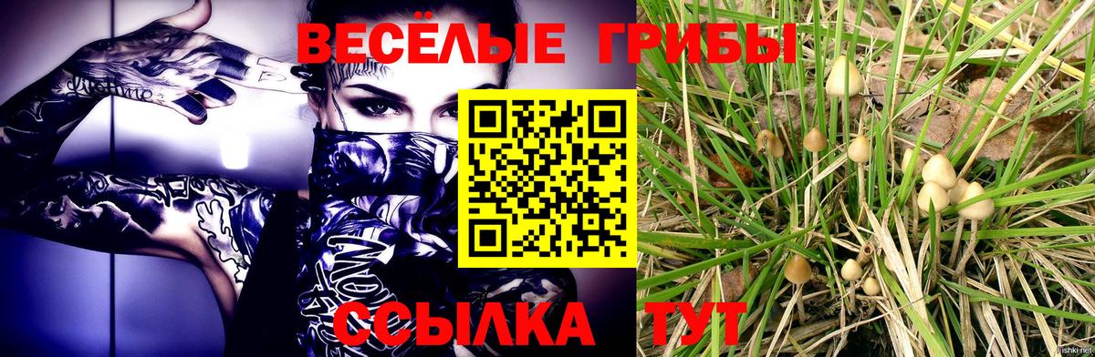 Псилоцибиновые грибы прущие грибы Аргун