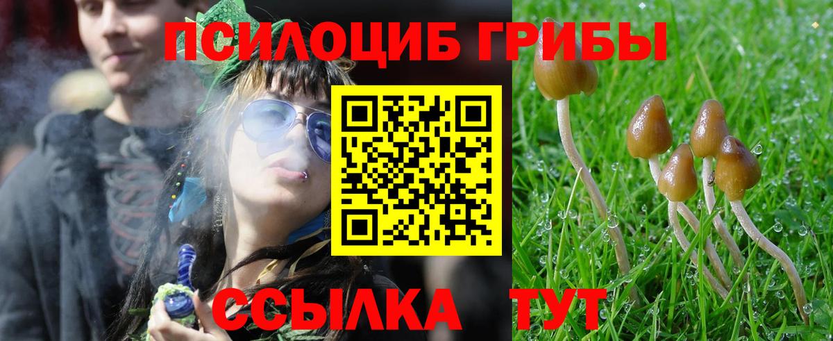 Аргун  Галлюциногенные грибы Psilocybine cubensis  Псилоцибиновые грибы MAGIC MUSHROOMS  Вход с VPN 