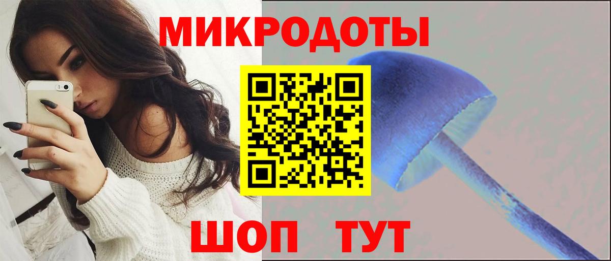 Галлюциногенные грибы GOLDEN TEACHER  Аргун 