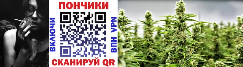 Бошки Шишки индика это состав Аргун