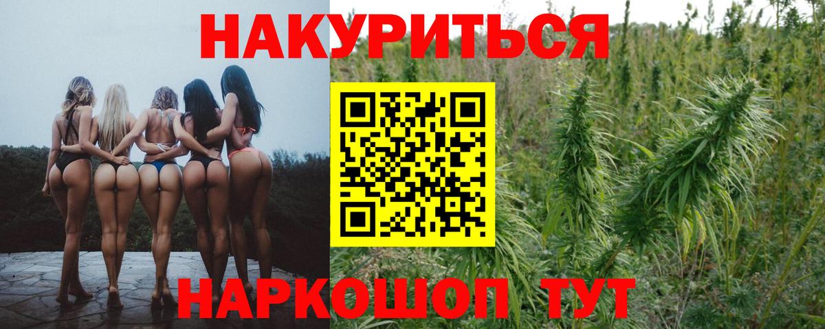 Аргун  Бошки Шишки AK-47  Вход с VPN  МАРИХУАНА планчик  Бошки марихуана MAZAR 